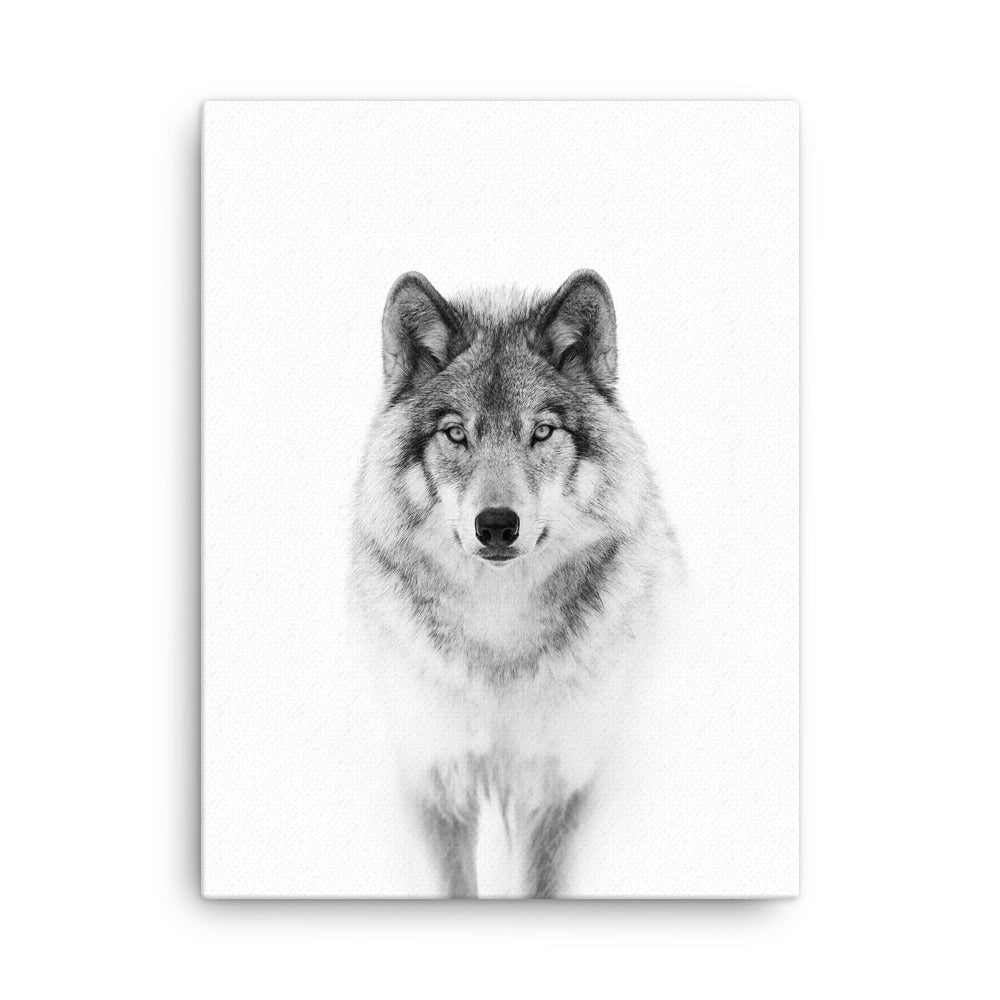 Leinwand - Calm Wolf Kuratoren von artlia 46x61 cm artlia