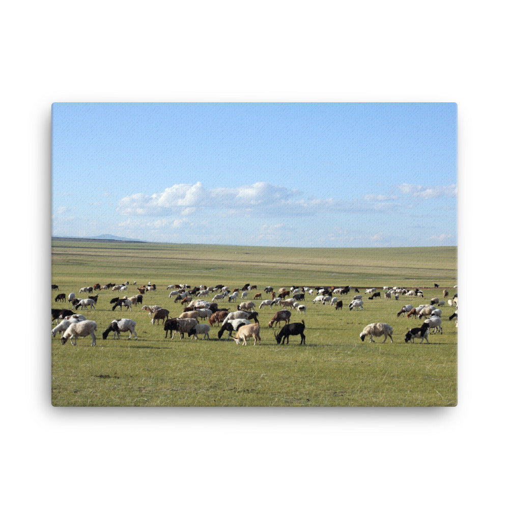 Leinwand - Herd of sheep graze in Mongolian steppe Young Han Song 46x61 cm artlia