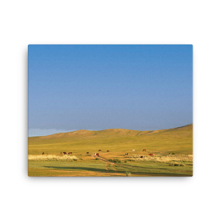 Leinwand - Steppe on a calm morning, Mongolia Young Han Song 41x51 cm artlia