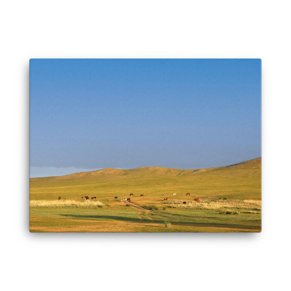 Leinwand - Steppe on a calm morning, Mongolia Young Han Song 46x61 cm artlia