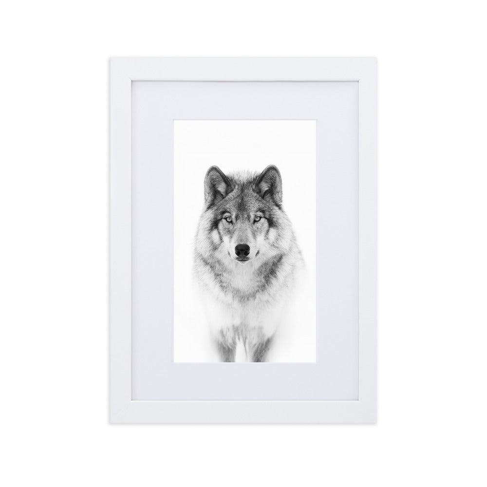 Poster mit Passepartout - Calm Wolf Kuratoren von artlia Weiß / 21×30 cm artlia
