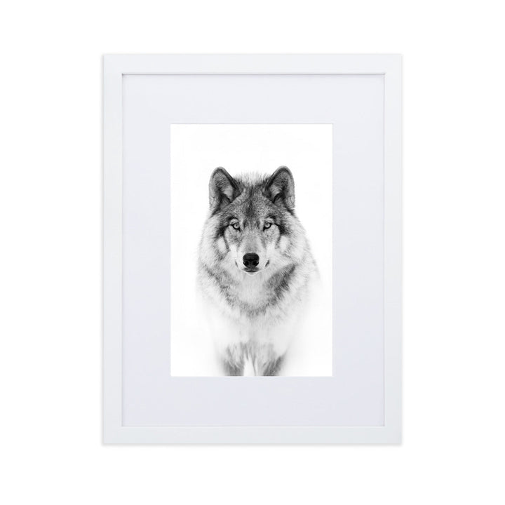 Poster mit Passepartout - Calm Wolf Kuratoren von artlia Weiß / 30×40 cm artlia