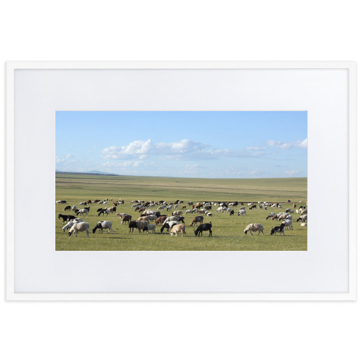 Poster mit Passepartout - Herd of sheep graze in Mongolian steppe Young Han Song Weiß / 61×91 cm artlia