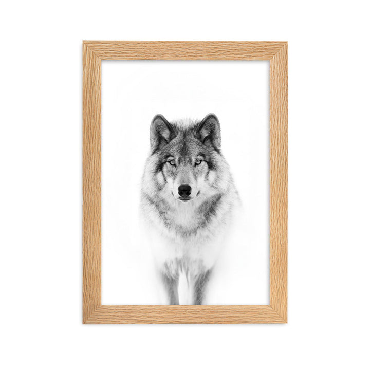 Poster mit Rahmen - Calm Wolf Kuratoren von artlia Oak / 21×30 cm artlia