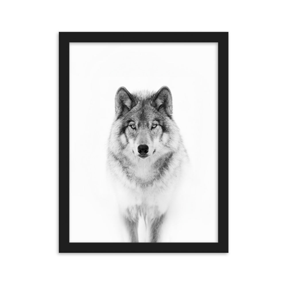 Poster mit Rahmen - Calm Wolf Kuratoren von artlia Schwarz / 30×40 cm artlia