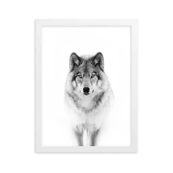 Poster mit Rahmen - Calm Wolf Kuratoren von artlia Weiß / 30×40 cm artlia