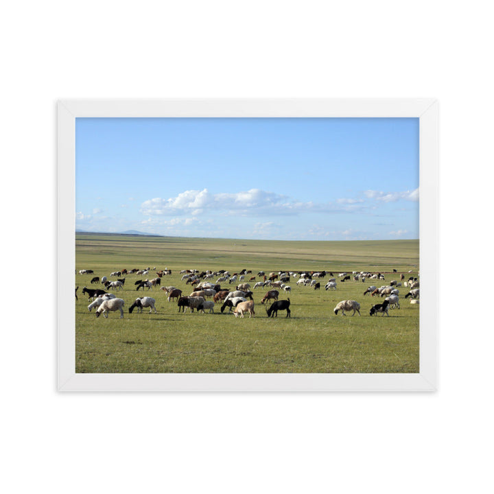 Poster mit Rahmen - Herd of sheep graze in Mongolian steppe Young Han Song Weiß / 30×40 cm artlia