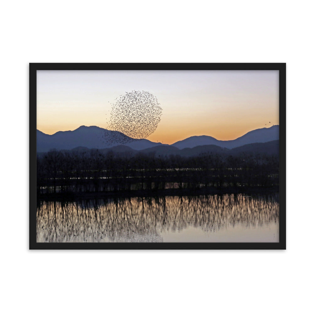 Sonnenuntergang im Junam-Wasserreservoir - Poster im Rahmen Young Han Song Schwarz / 50×70 cm artlia