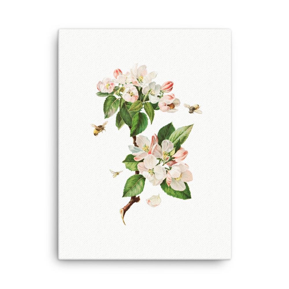 Apfelblüten und Bienen - Leinwand Boston Public Library 30x41 cm artlia