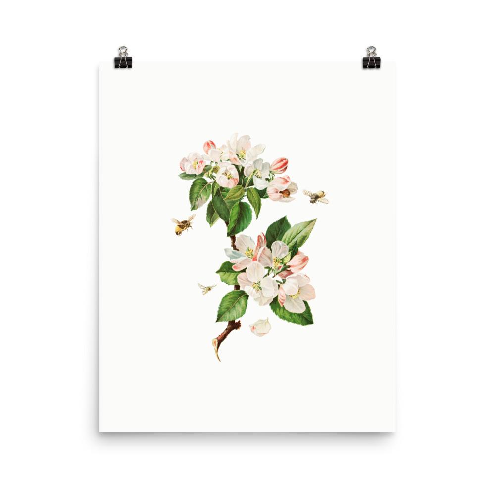 Apfelblüten und Bienen - Poster Boston Public Library 20x25 cm artlia