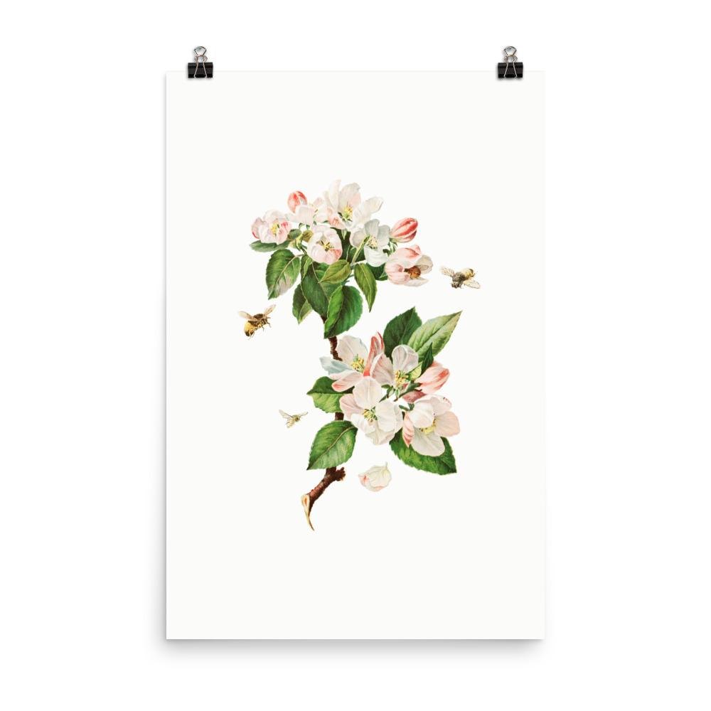 Apfelblüten und Bienen - Poster Boston Public Library 30x45 cm artlia