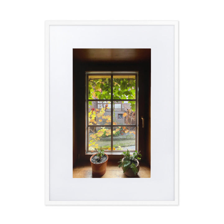 Autumn Window Herbstfenster Margersdorf - Poster im Rahmen mit Passepartout Kuratoren von artlia Weiß / 50×70 cm artlia