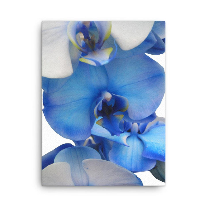 Blue Orchid - Leinwand Kuratoren von artlia 30x41 cm artlia