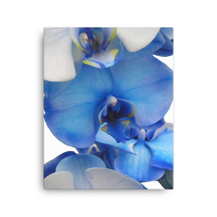 Blue Orchid - Leinwand Kuratoren von artlia 41x51 cm artlia