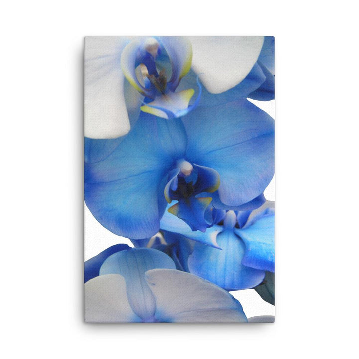 Blue Orchid - Leinwand Kuratoren von artlia 61x91 cm artlia