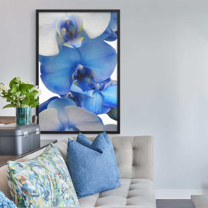 Blue Orchid - Poster im Rahmen Kuratoren von artlia artlia