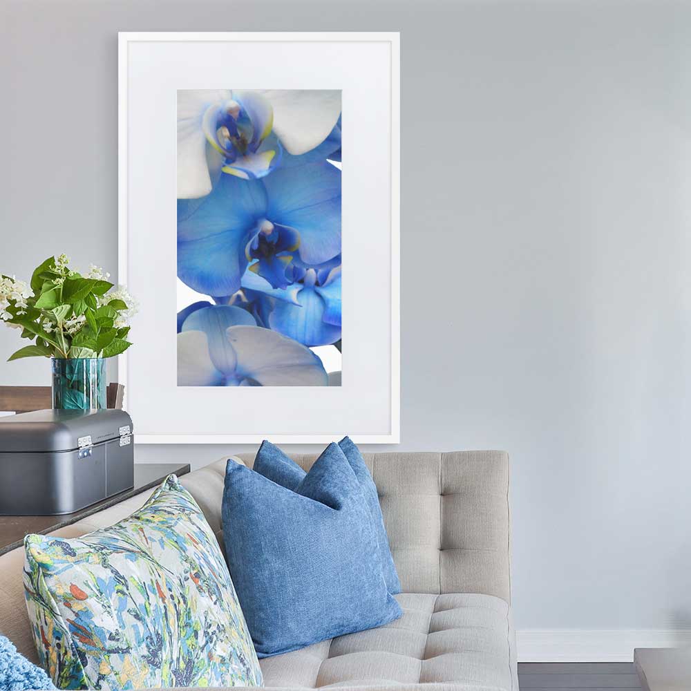 Blue Orchid - Poster im Rahmen mit Passepartout Kuratoren von artlia Weiß / 61×91 cm artlia
