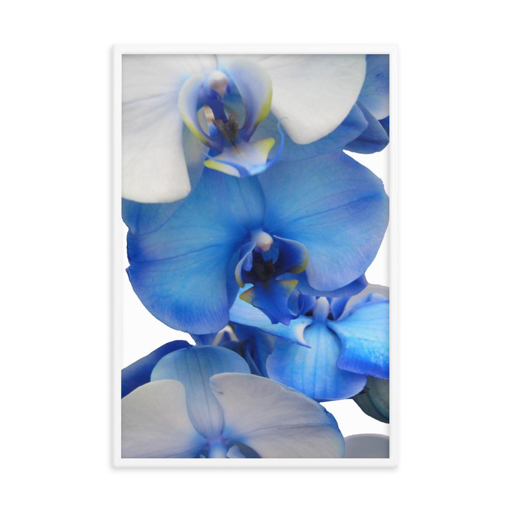 Blue Orchid - Poster Kuratoren von artlia artlia