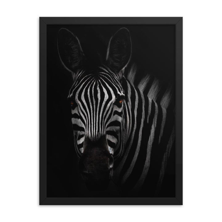 das Starren des Zebras - Poster im Rahmen Kuratoren von artlia schwarz / 30x41 cm artlia