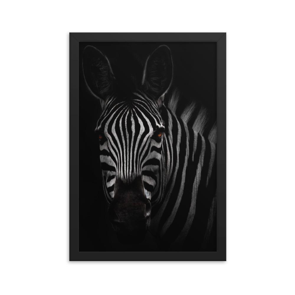 das Starren des Zebras - Poster im Rahmen Kuratoren von artlia schwarz / 30x45 cm artlia