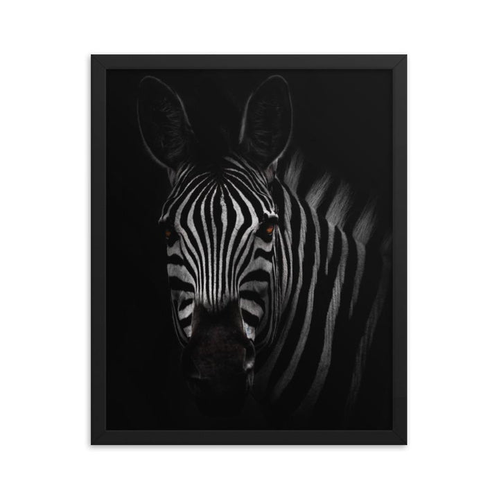 das Starren des Zebras - Poster im Rahmen Kuratoren von artlia schwarz / 41x51 cm artlia