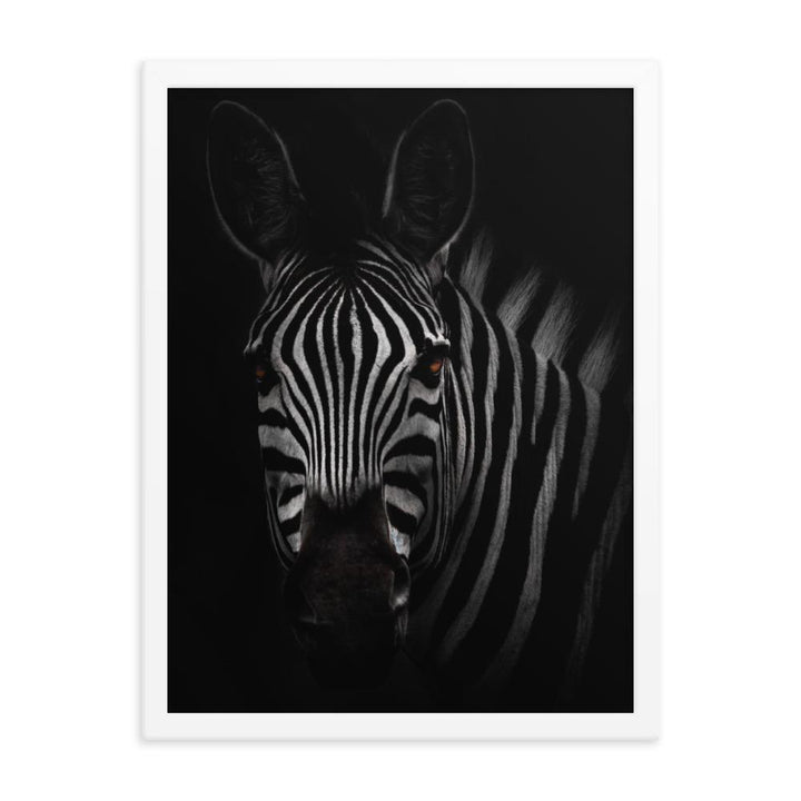 das Starren des Zebras - Poster im Rahmen Kuratoren von artlia weiß / 30x41 cm artlia