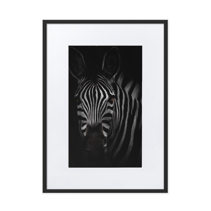 das Starren des Zebras - Poster im Rahmen mit Passepartout Kuratoren von artlia schwarz / 50×70 cm artlia