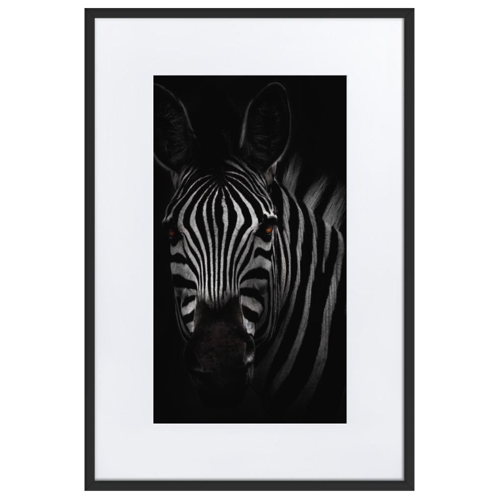 das Starren des Zebras - Poster im Rahmen mit Passepartout Kuratoren von artlia schwarz / 61×91 cm artlia