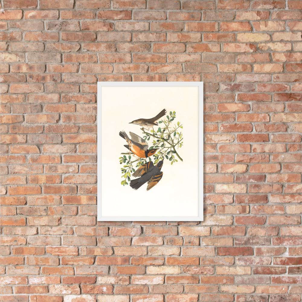 Drei Vögel auf Ästen - Poster im Rahmen Boston Public Library artlia