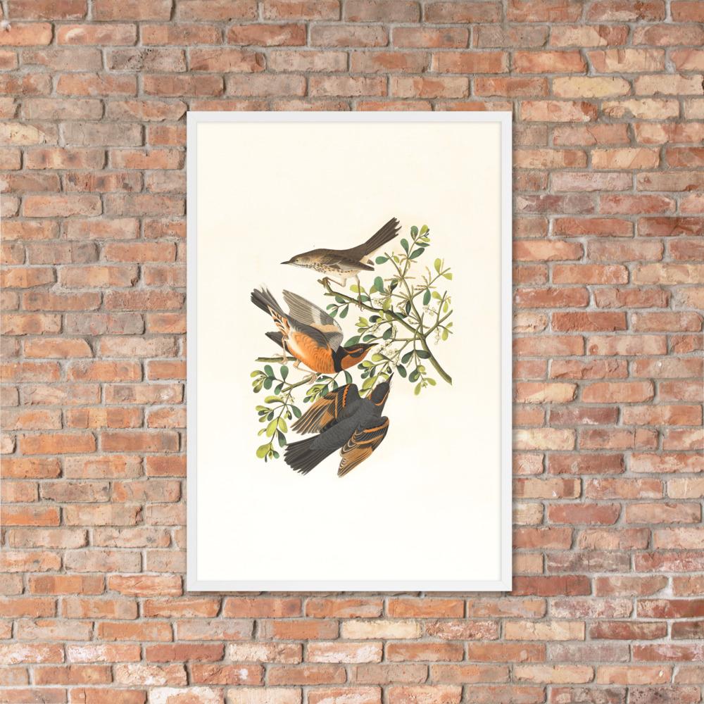 Drei Vögel auf Ästen - Poster im Rahmen Boston Public Library artlia