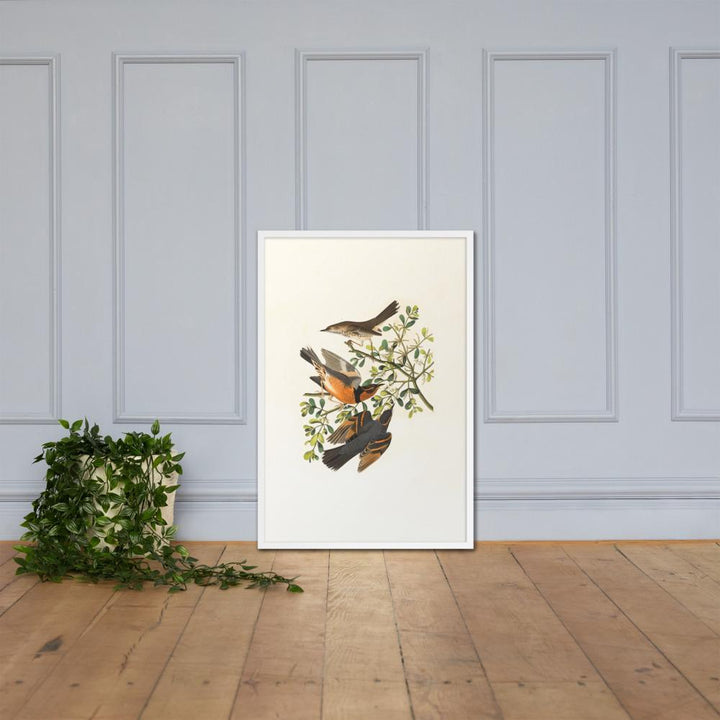 Drei Vögel auf Ästen - Poster im Rahmen Boston Public Library weiß / 61x91 cm artlia
