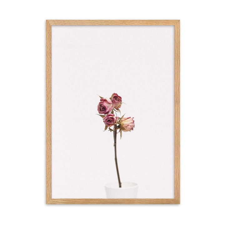 Dry Roses Trockenrosen - Poster im Rahmen artlia Oak / 50×70 cm artlia