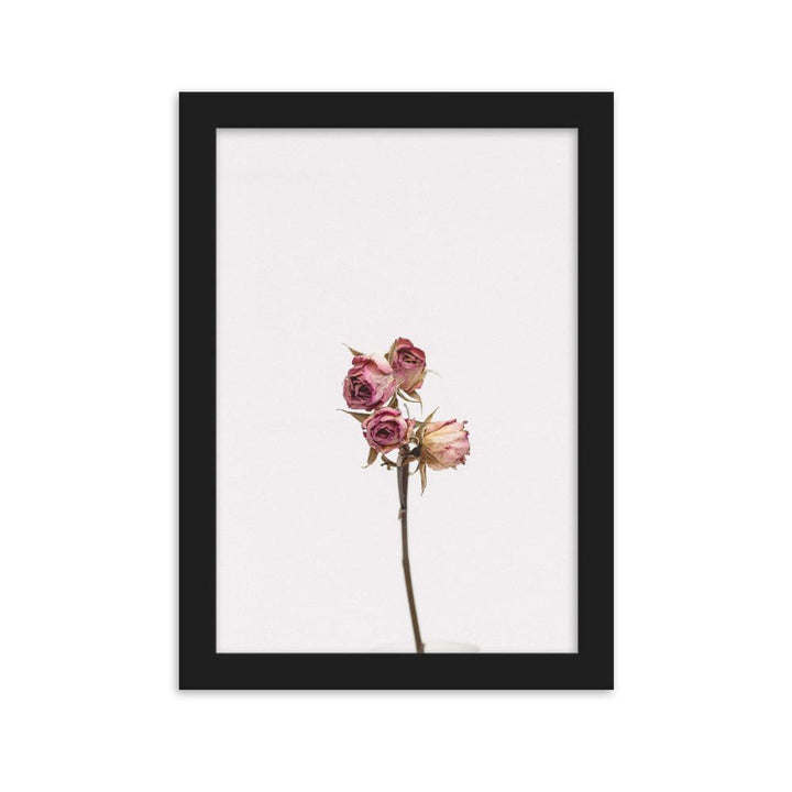 Dry Roses Trockenrosen - Poster im Rahmen artlia Schwarz / 21×30 cm artlia