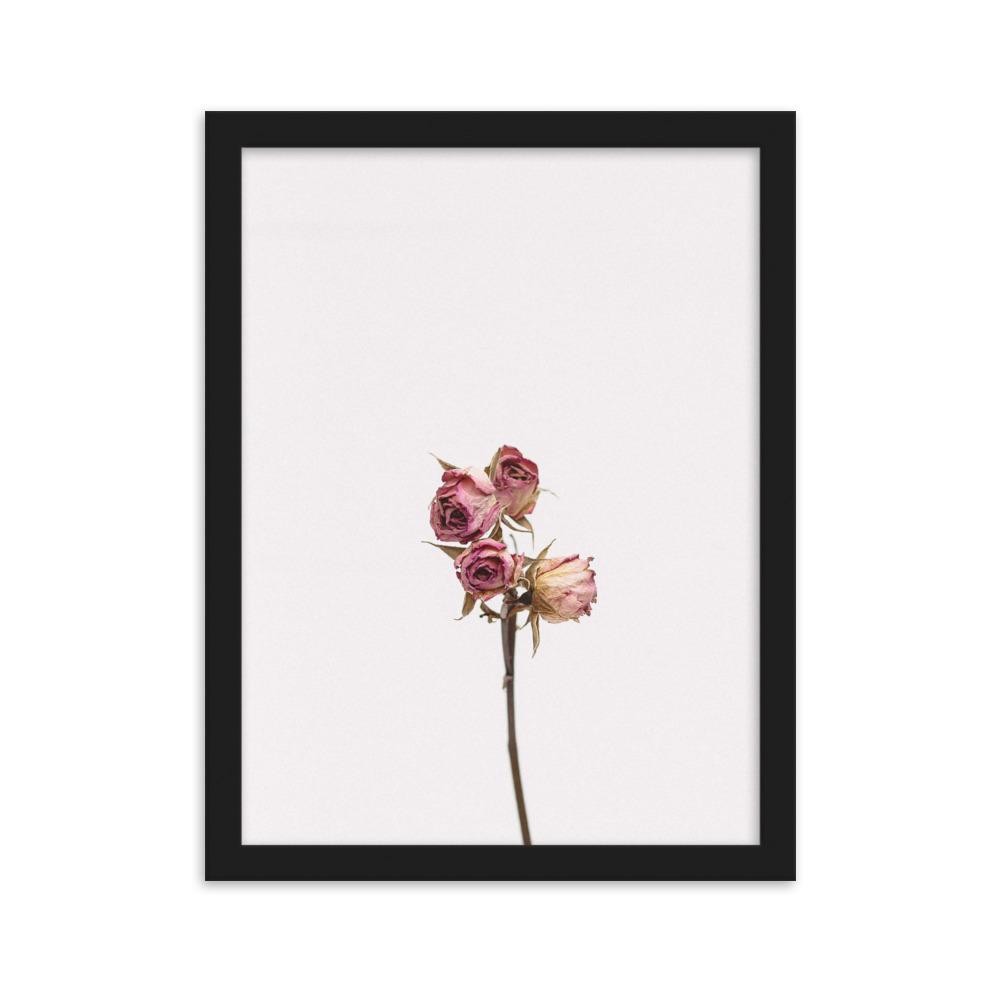 Dry Roses Trockenrosen - Poster im Rahmen artlia Schwarz / 30×40 cm artlia