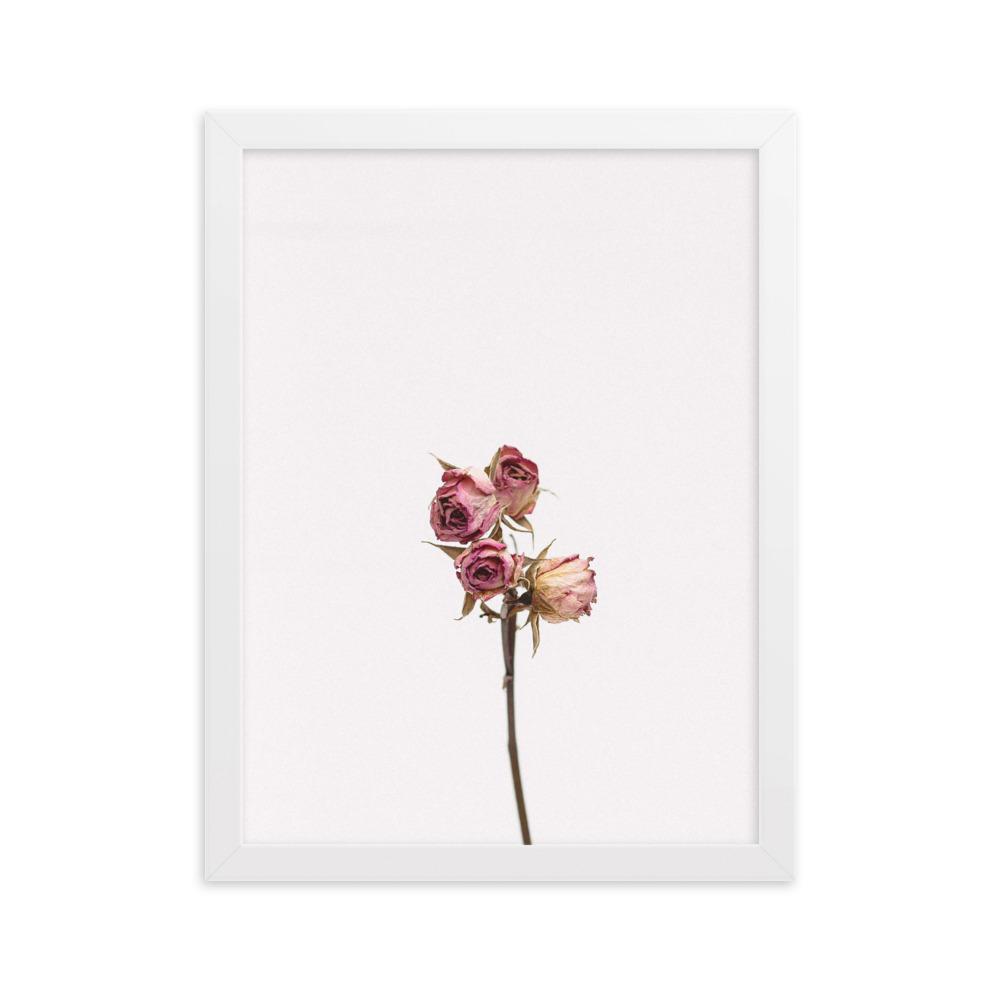 Dry Roses Trockenrosen - Poster im Rahmen artlia Weiß / 30×40 cm artlia
