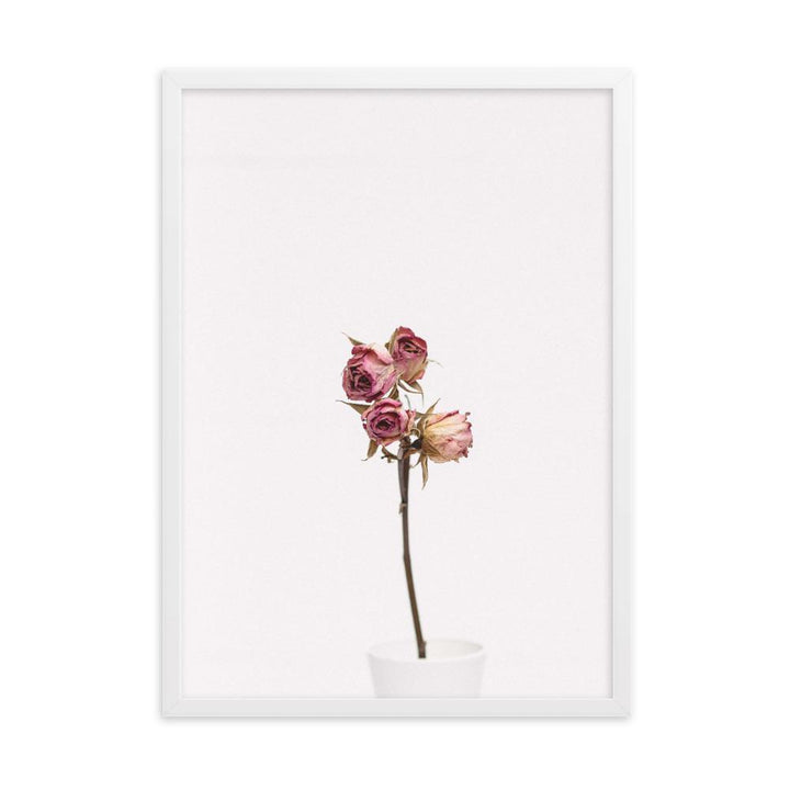 Dry Roses Trockenrosen - Poster im Rahmen artlia Weiß / 50×70 cm artlia