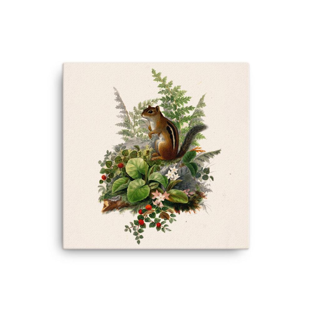 Eichhörnchen - Leinwand Boston Public Library 30x30 cm artlia