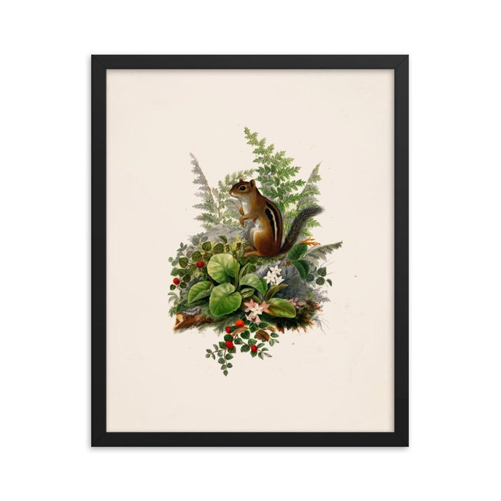 Eichhörnchen - Poster im Rahmen Boston Public Library schwarz / 41x51 cm artlia