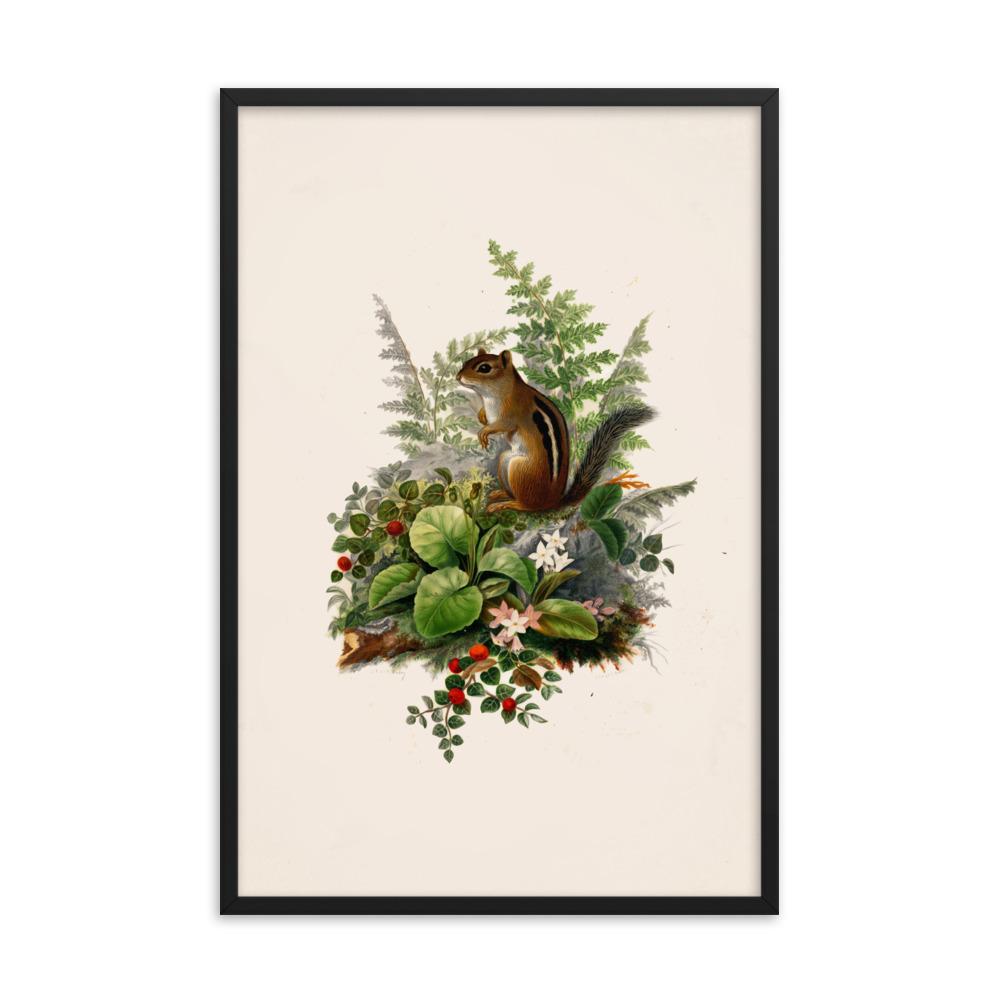 Eichhörnchen - Poster im Rahmen Boston Public Library schwarz / 61x91 cm artlia
