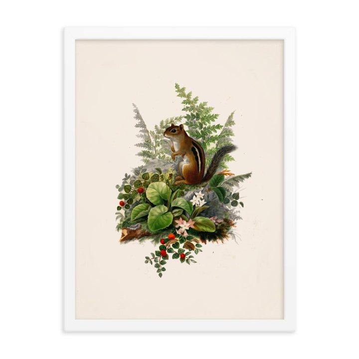 Eichhörnchen - Poster im Rahmen Boston Public Library weiß / 30x41 cm artlia