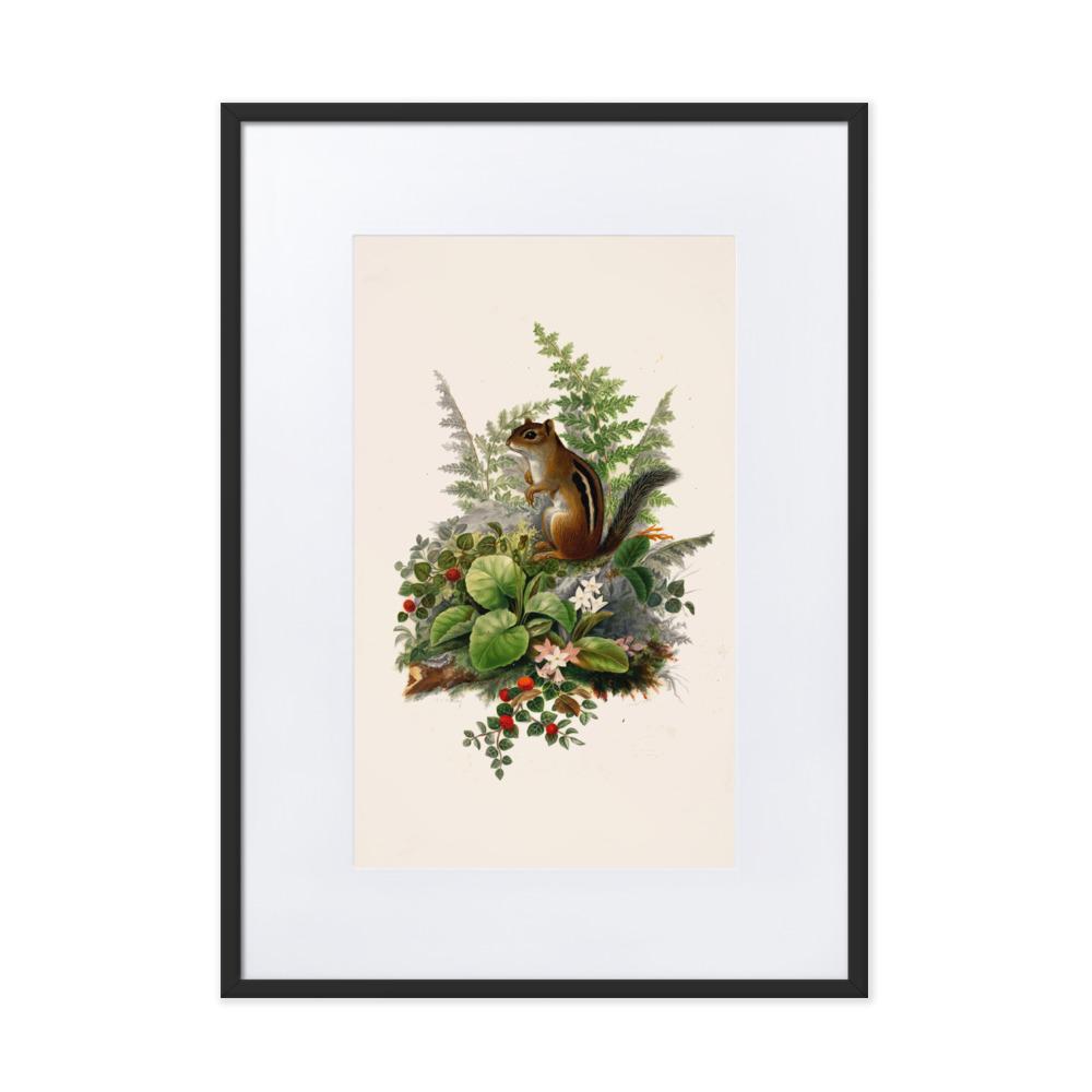 Eichhörnchen - Poster im Rahmen mit Passepartout Boston Public Library schwarz / 50×70 cm artlia