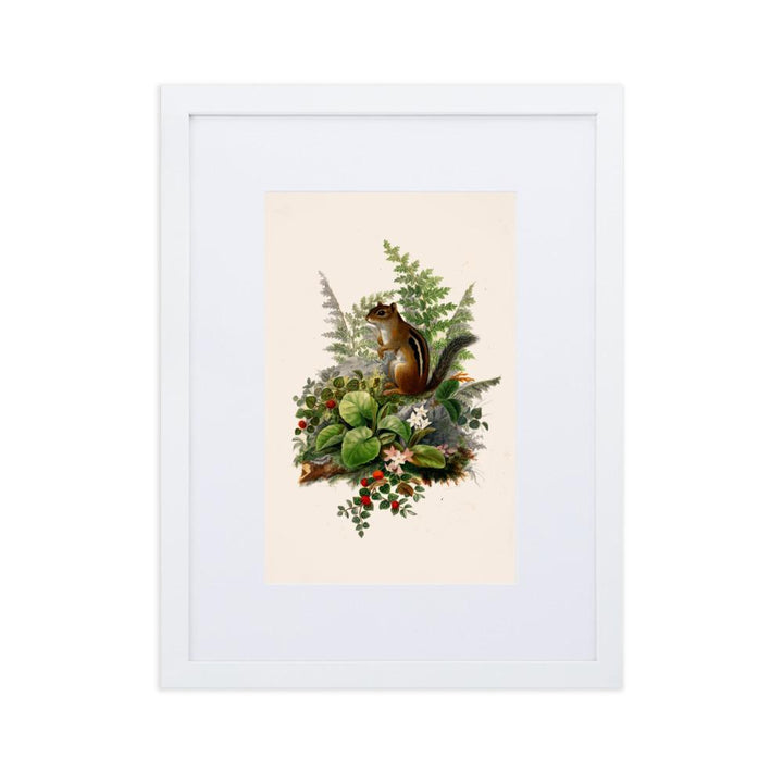 Eichhörnchen - Poster im Rahmen mit Passepartout Boston Public Library weiß / 30×40 cm artlia