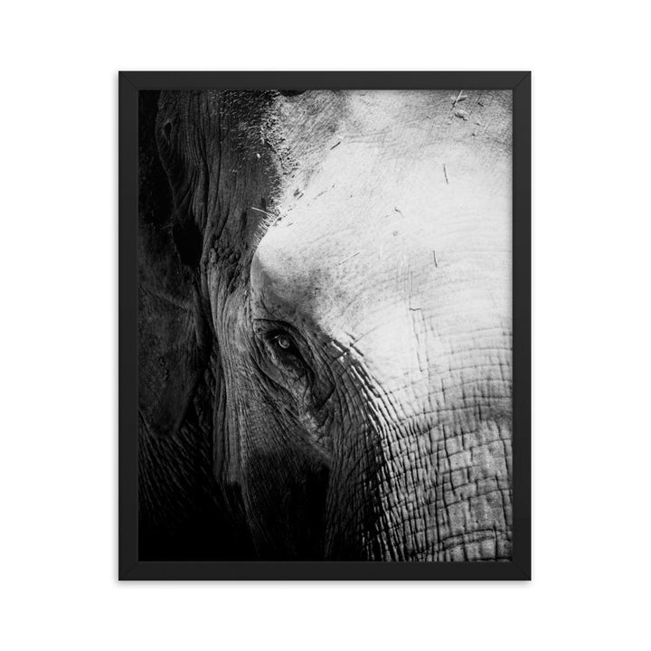 Elefant von Chiangmai - Poster im Rahmen Kuratoren von artlia schwarz / 41x51 cm artlia