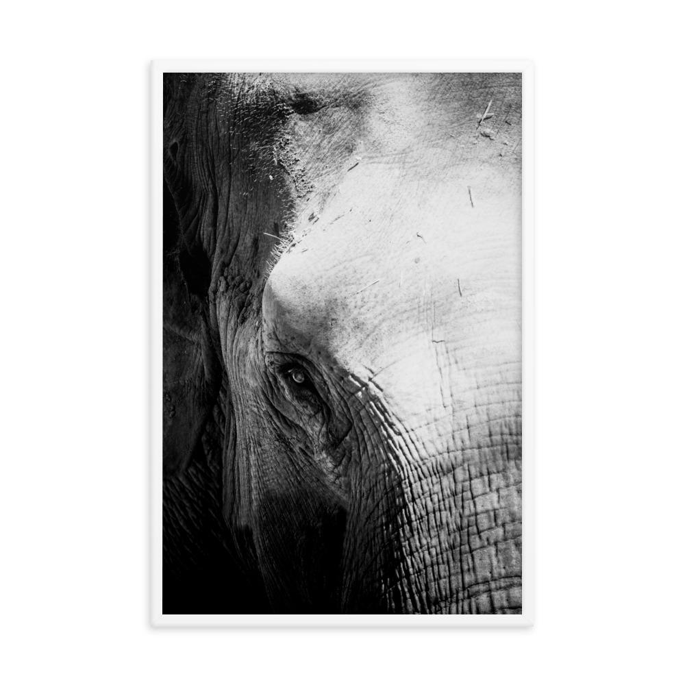 Elefant von Chiangmai - Poster im Rahmen Kuratoren von artlia weiß / 61x91 cm artlia