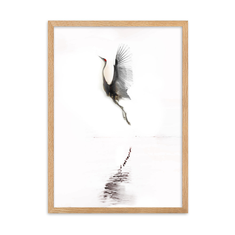 fliegender Kranich - Poster im Rahmen Kuratoren von artlia Oak / 50×70 cm artlia
