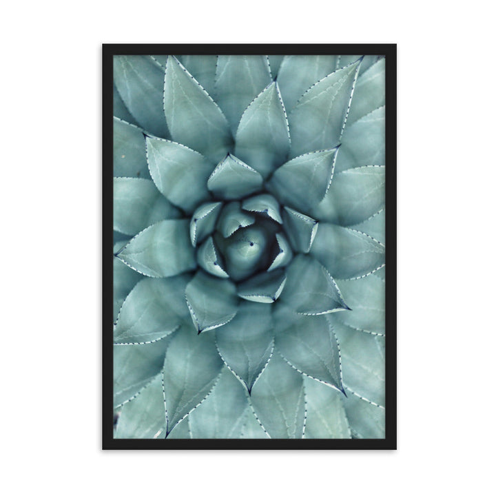 Flower Cactus Blumenkaktus - Poster im Rahmen Kuratoren von artlia Schwarz / 50×70 cm artlia