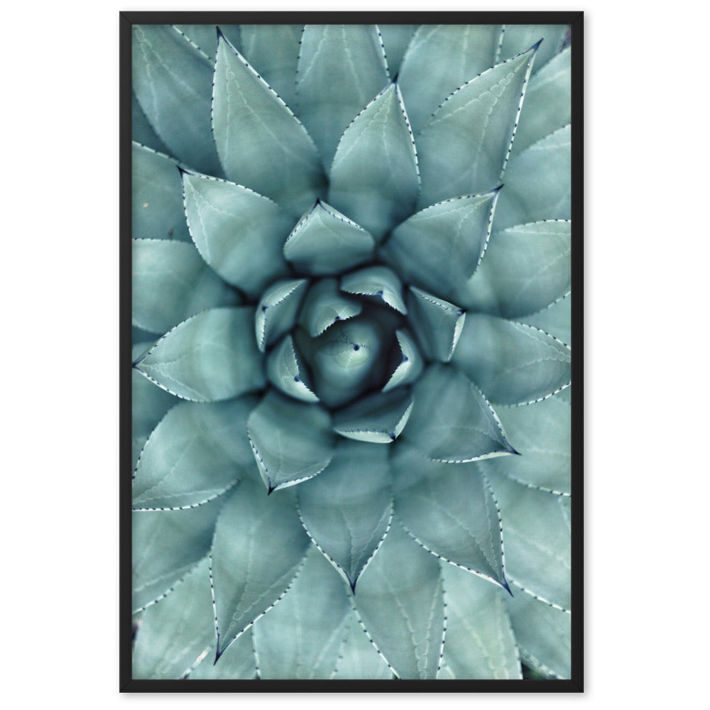 Flower Cactus Blumenkaktus - Poster im Rahmen Kuratoren von artlia Schwarz / 61×91 cm artlia
