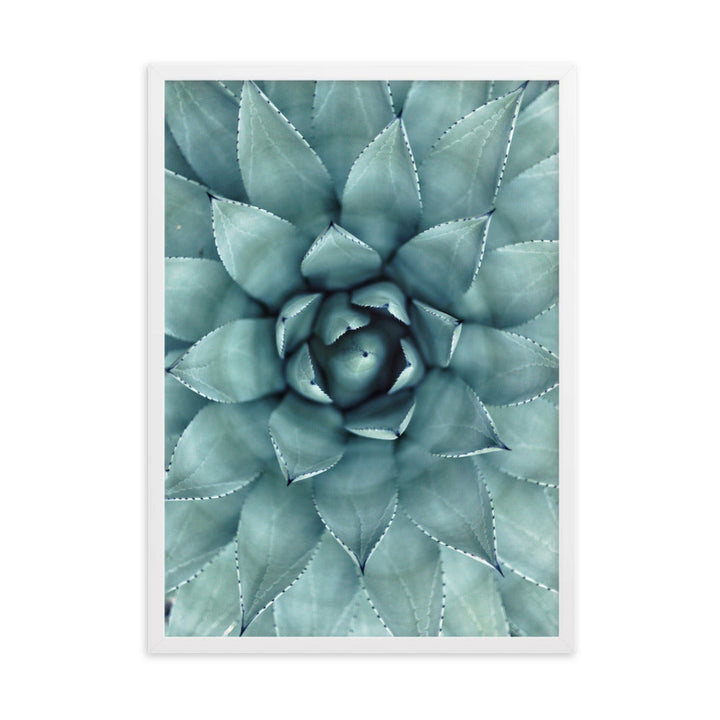 Flower Cactus Blumenkaktus - Poster im Rahmen Kuratoren von artlia Weiß / 50×70 cm artlia
