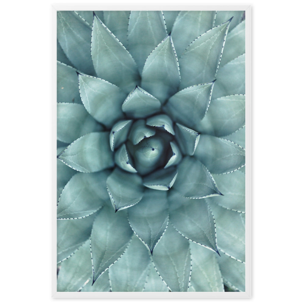 Flower Cactus Blumenkaktus - Poster im Rahmen Kuratoren von artlia Weiß / 61×91 cm artlia