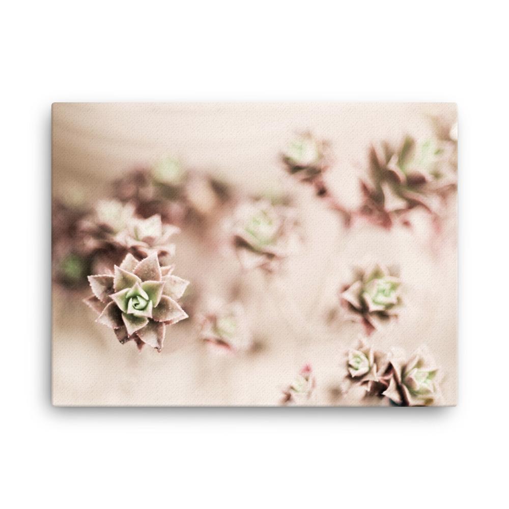 Flower Cactus - Leinwand artlia 18″×24″ artlia
